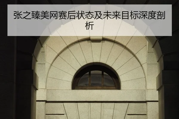 张之臻美网赛后状态及未来目标深度剖析